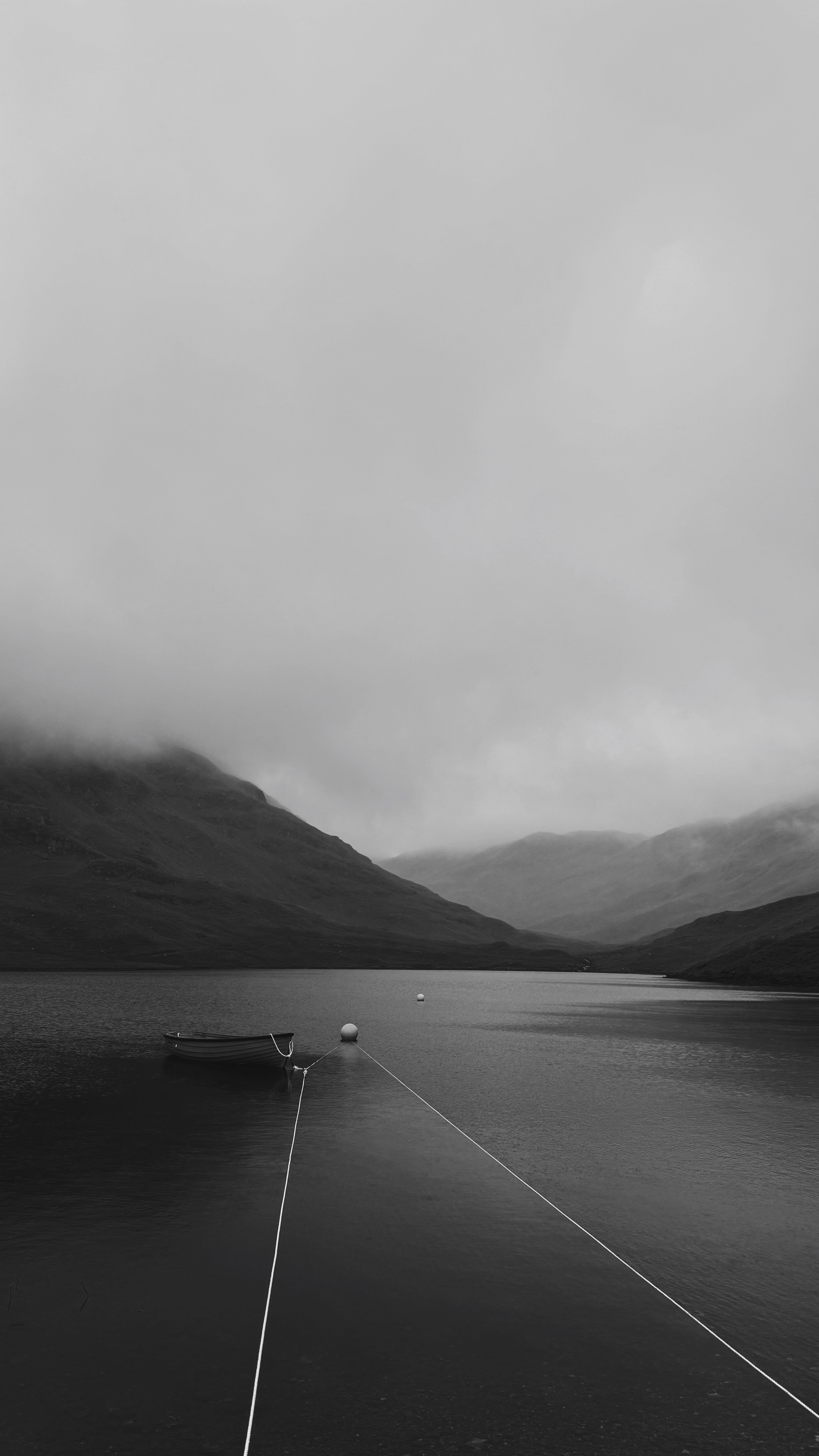 The best photo I've ever taken